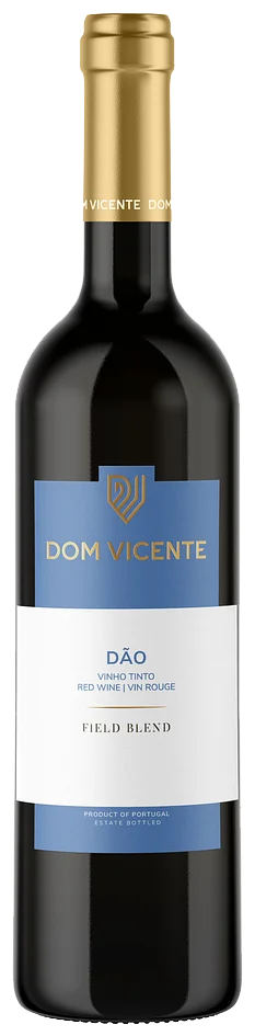 Dom Vicente